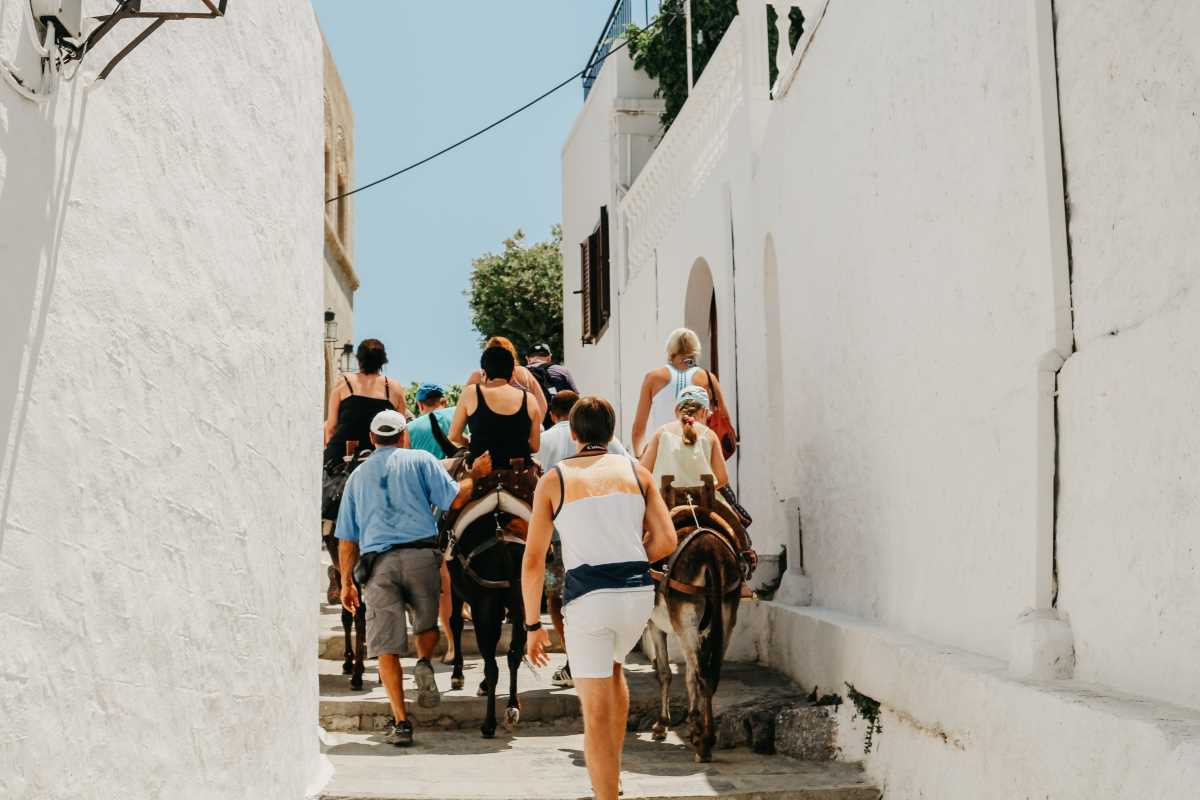 How to Make the Most of Free Travel Walking Tours in Any City