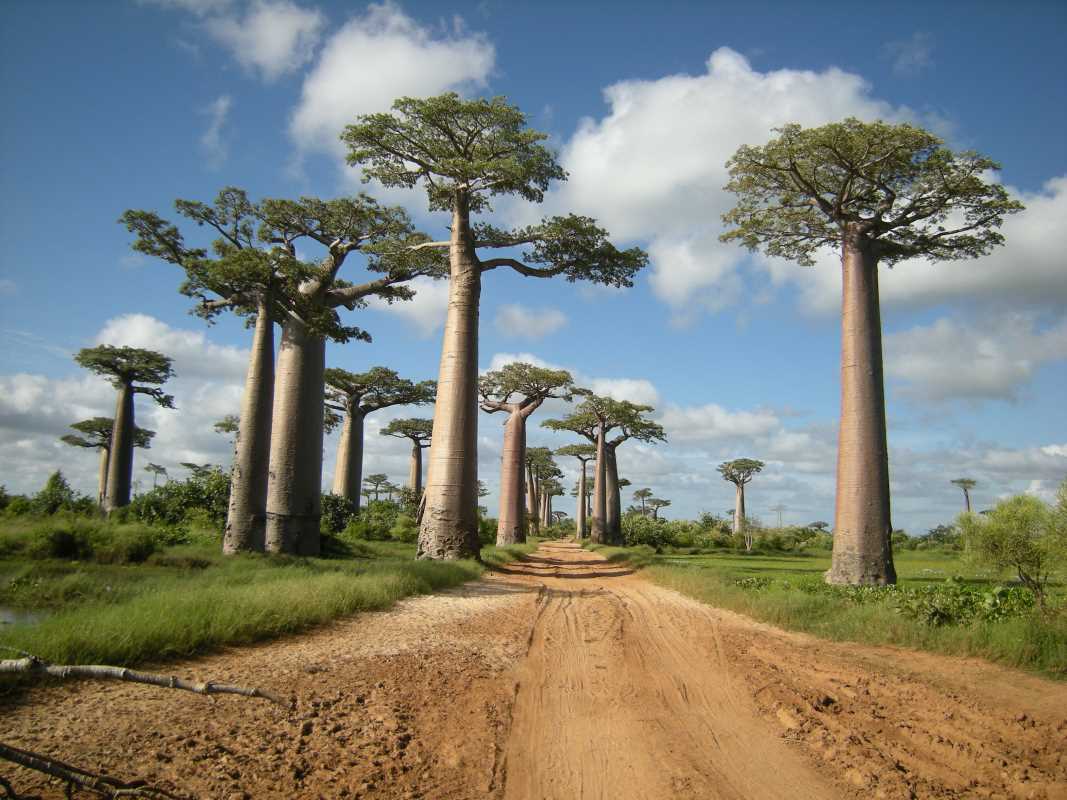 Why Madagascar Should Be Your Next Adventure Destination